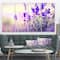 Designart - Purple Lavender Field - Floral Photography Canvas Art Print